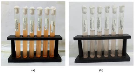 Biodegradation of Azo Dye Methyl Red by Pseudomonas aeruginosa ...