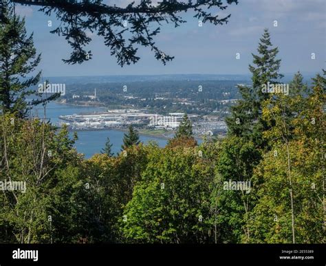 Sehome hill arboretum hi-res stock photography and images - Alamy