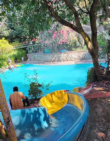 Home|| MULSHI AGRITOURISM