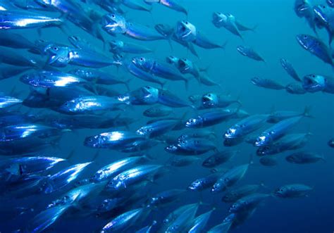 Club Ten-South Africa,Kwazulu Natal North Coast - 7Across Resort Profile