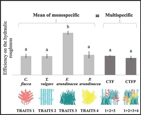 Functional Diversity Effects of Vegetation on Runoff to Design ...