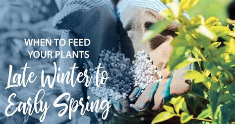 Image result for Step 1 Spring Fertilizer