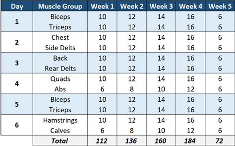 Image result for How Many Sets per Workout Session