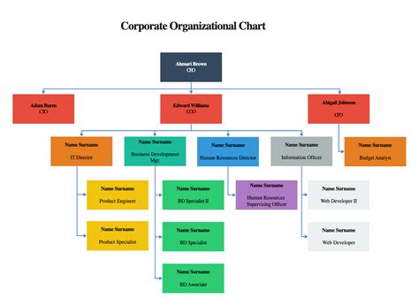 Image result for Company Org Chart Examples
