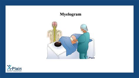 Image result for Myogram Labeled