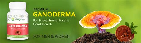 Buy VitaGreen 100% Natural Detox Rejuvenation Ganoderma Capsules(60 ...