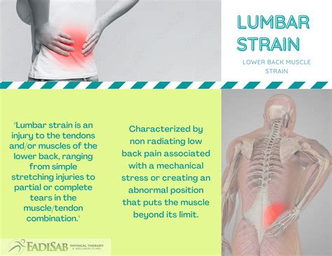 Back Pain and How To Treat It | FadiSab Clinic