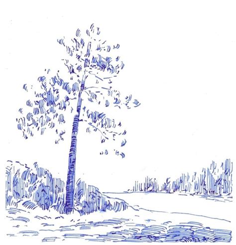 Image result for Simple Tree Line Drawing