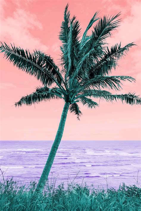 [100+] Palm Trees Beach Wallpapers | Wallpapers.com
