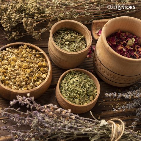 cultivator's-organic-ingredients