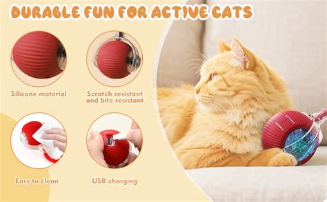 MDM HUB Interactive Cat Toy - Cat Toys for Indoor Cats Smart Silicone ...