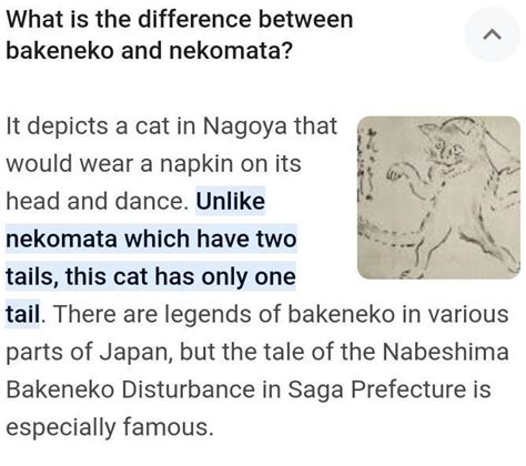 what is Nekomata and bakeneko?? what is the difference between them ...