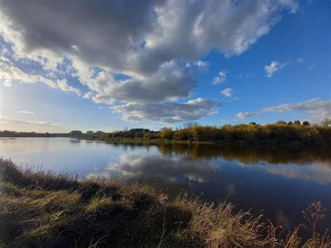 Image result for Alien River Bug