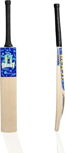 BEAST CRICKET Willow Wood Cricket Bat for Power & Durability – Cricket ...