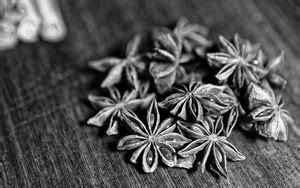 Star anise 4k ultra hd 16:10 wallpapers hd, desktop backgrounds ...