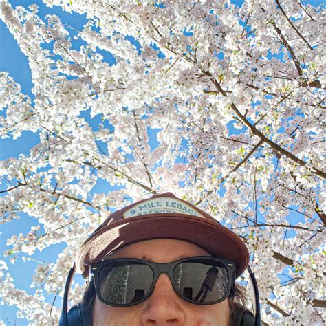 Image result for Spring Time Video Reflection