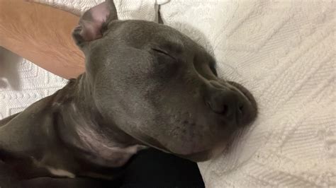 The missile is very eepy | Scrolller