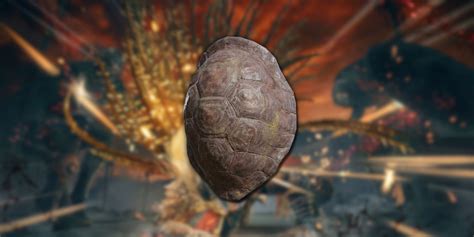 Image result for Great Turtle Shell