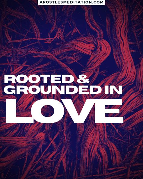 Rooted & Grounded in Love – Apostle's Meditations