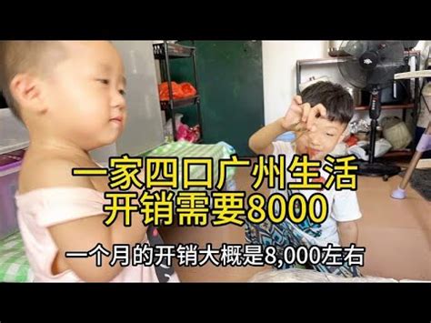 一家四口广州生活一个月开销需要8000块，大冰需要赚4000块才够花 - YouTube