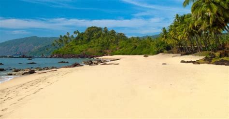 Image result for Goa Experience