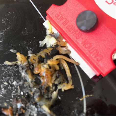 Buy Werxrite Cooktop Stovetop Glass Ceramic Metal Blade Razor Scraper ...