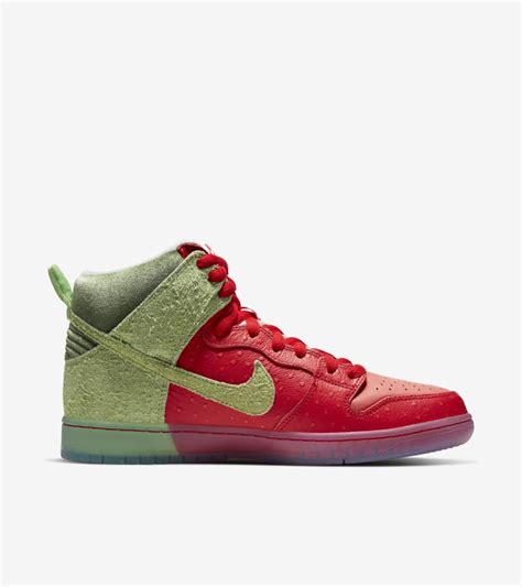 Nike high on sale dunk pro