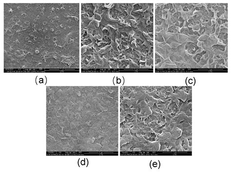 Preparation and Characterization of the Forward Osmosis Membrane ...