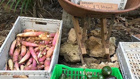 THORNLEIGH FARM (2026) All You Need to Know BEFORE You Go (with Photos ...