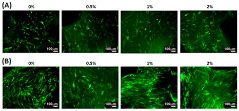 3D Printing of Cytocompatible Water-Based Light-Cured Polyurethane with ...