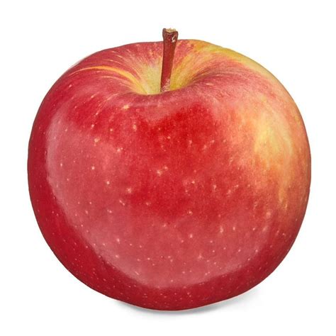 Image result for Apple Basic Programming Example