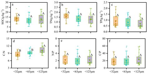 Concentrations and Stoichiometric Characteristics of C, N, and P in ...