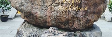 One-Day Tour of Shanghai: Oriental Pearl Tower, City God Temple, Yu ...