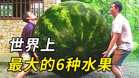 Image result for Alien Juicer HD