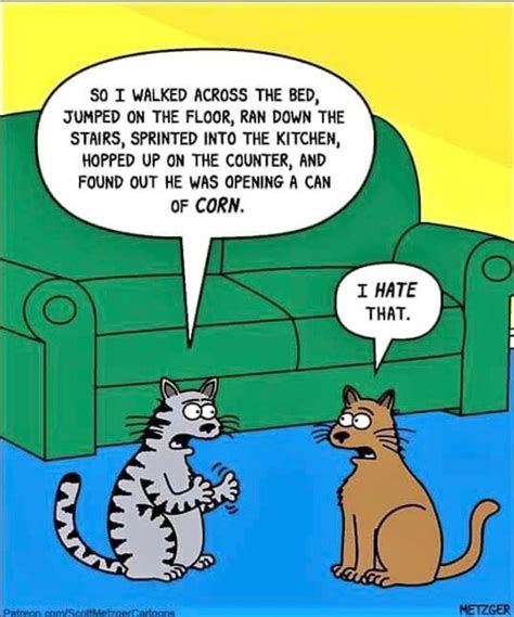 Pin by Alliecat on Cat posters | Funny cat jokes, Cat quotes funny, Cat ...