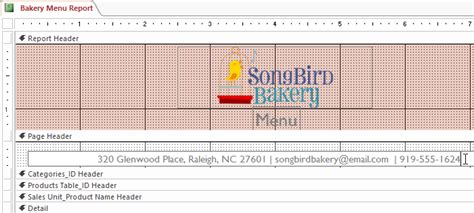 Image result for MS Project Layout Report Tab