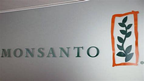 Logo Lessons 的图像结果