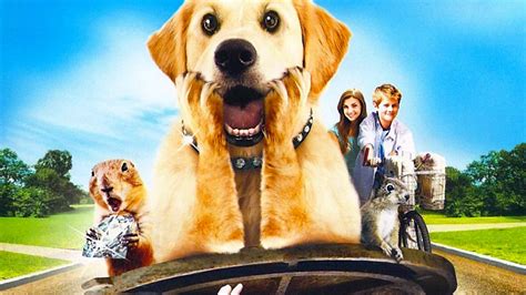 Dog Gone Movie