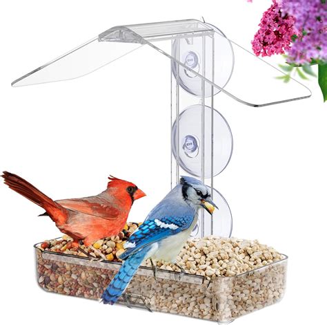Amazon.com : MrCrafts Nature Window Bird Feeder with Strong Suction ...