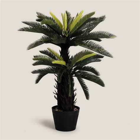 Sago Palm Green Potted Tree – Address Home