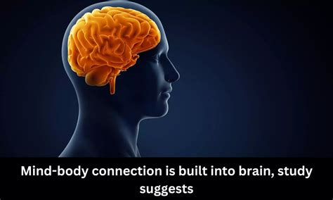 Image result for Mind and Brain Connection