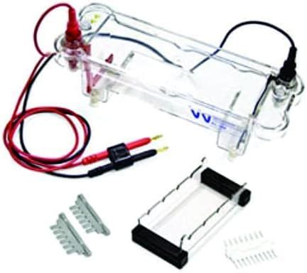 AjantaExports Electrophoresis Vertical Mini-Gel Gel Electrophoresis ...