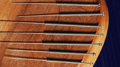 Acupuncture 的图像结果