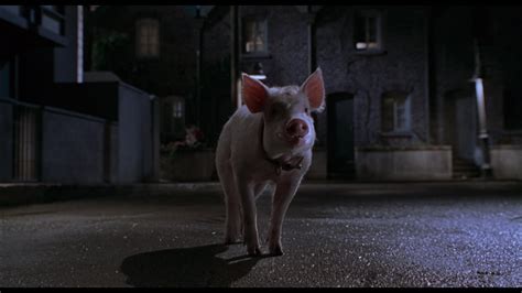 Babe: Pig in the City (1998) Screencap | Fancaps