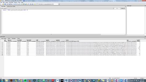 PostGIS SQL 的图像结果