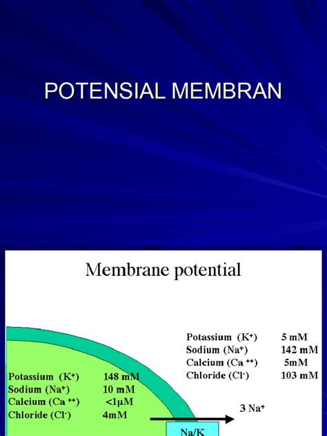 Image result for Ccpp Projects