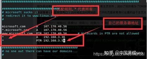 黑帽seo:DNS劫持详细过程及原理 - 知乎