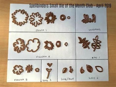 Image result for Spellbinders Craft Tools Tutorials