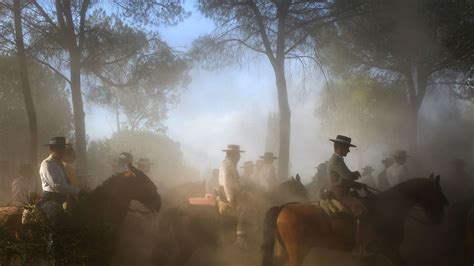 Tradition 的图像结果
