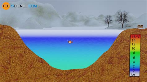 Thermal Stratification Lake